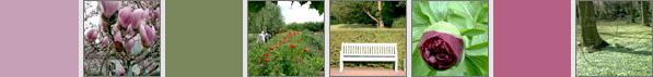 bildleiste_gartenland