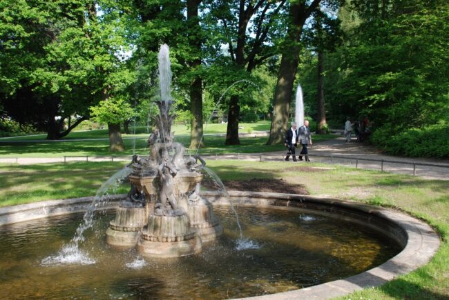 DSC_0855 (1024×685)