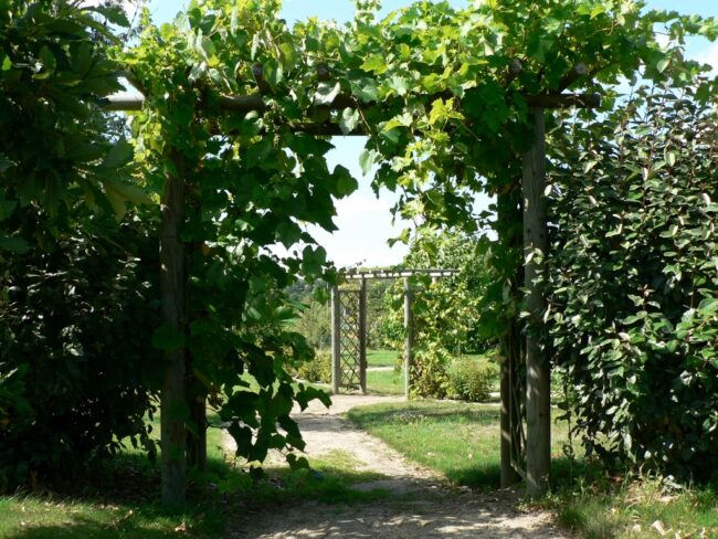 P1010644 (1024×768)