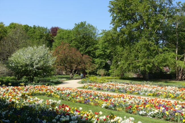 Gütersloh, Botanischer Garten Foto Pohl+Grüssen 2020 (102)
